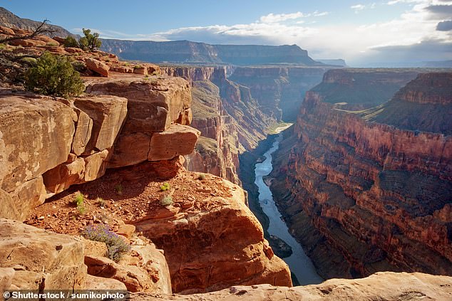 Un Redditor a imploré les touristes de ne pas tomber dans le Grand Canyon