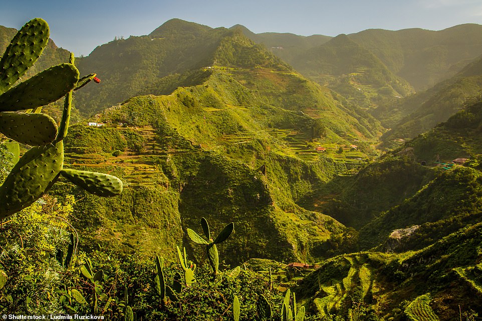 Lors de la grande visite à pied de 12 jours de Tenerife, Matthew dit que sa partie préférée était la visite du Parque Rural de Anaga, sur la photo