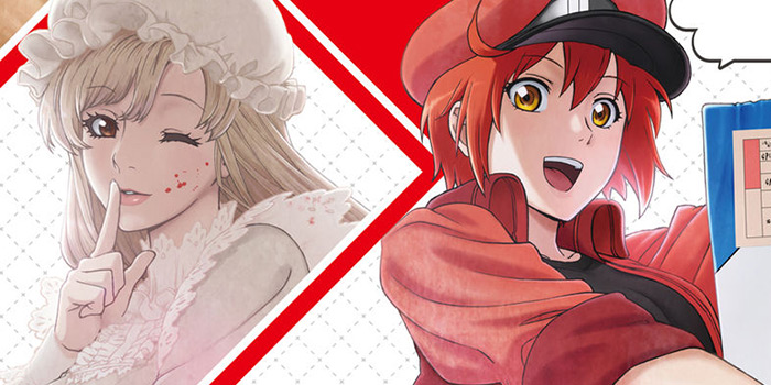 Cells at Work!