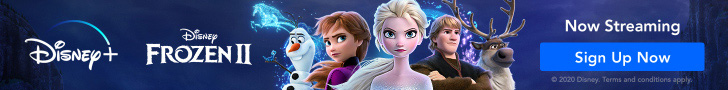 Inscription Disney +