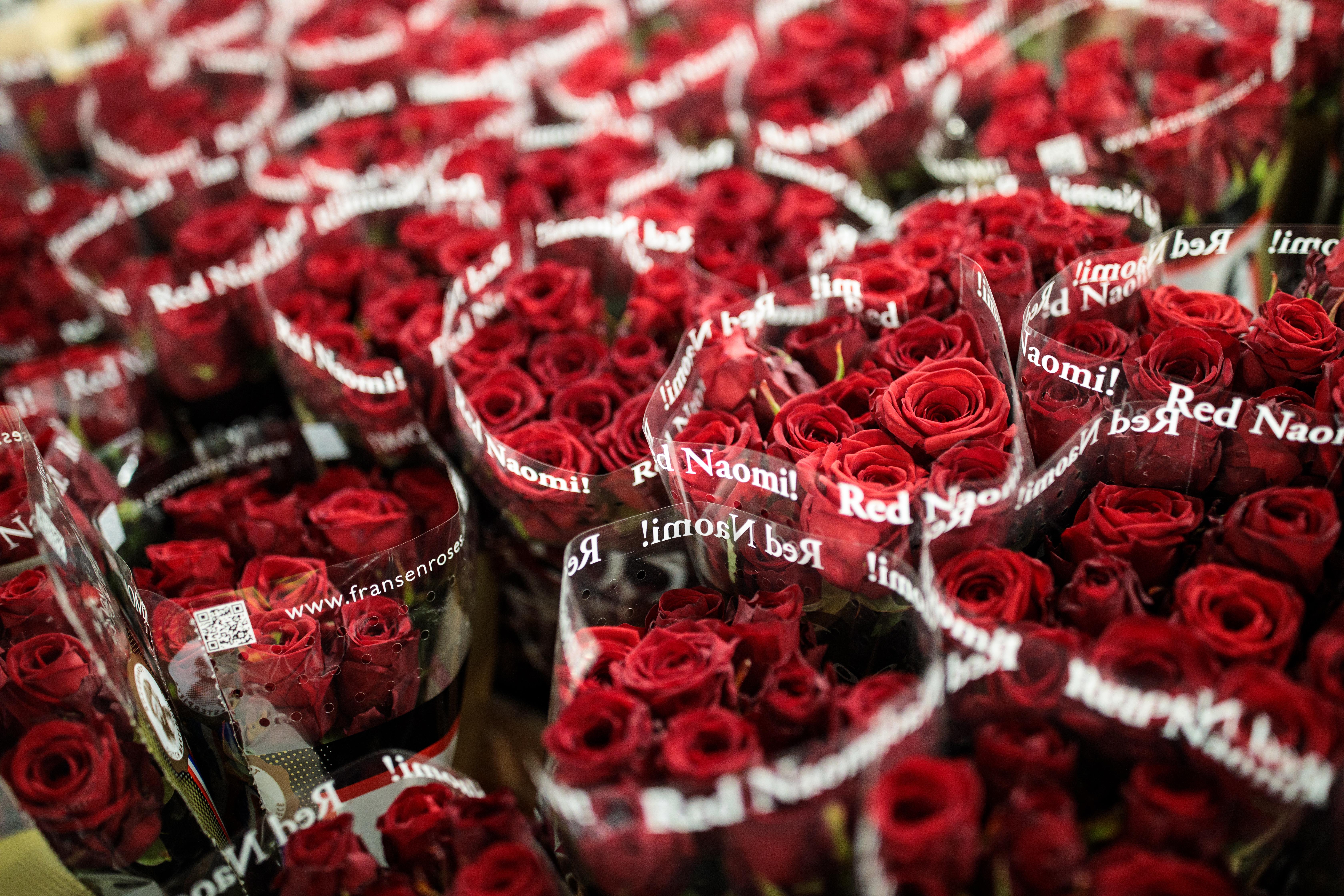 21 Citations De La Saint Valentin Pour Les Celibataires