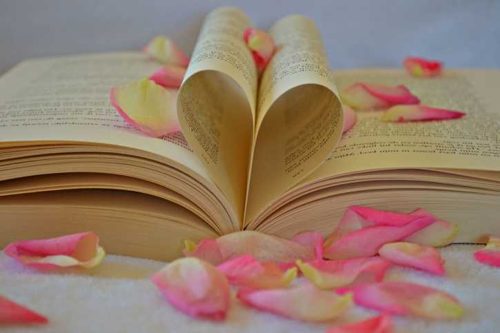 Saint Valentin Livre D Amour