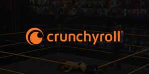 La WWE annonce une série animée en plusieurs parties sur Crunchyroll