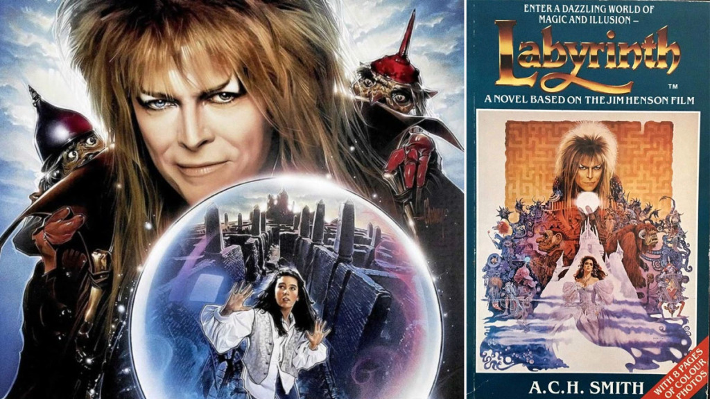 Affiche du labyrinthe recadrée et couverture du livre de novélisation