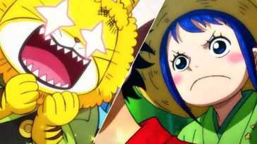Nekomamushi Et Otama One Piece