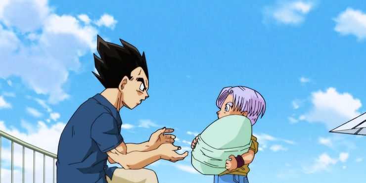 Vegeta Et Trunks