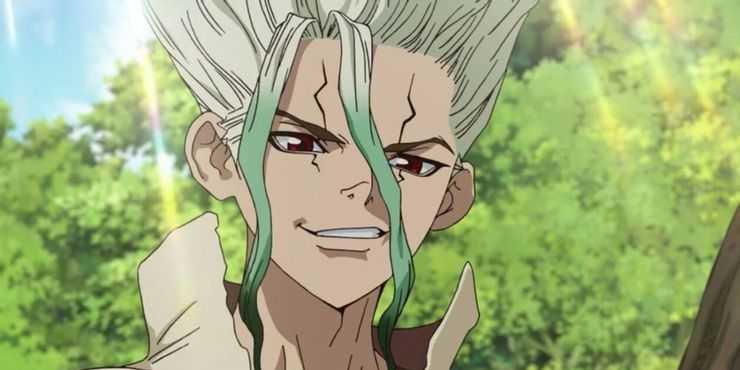 Dr. Stone