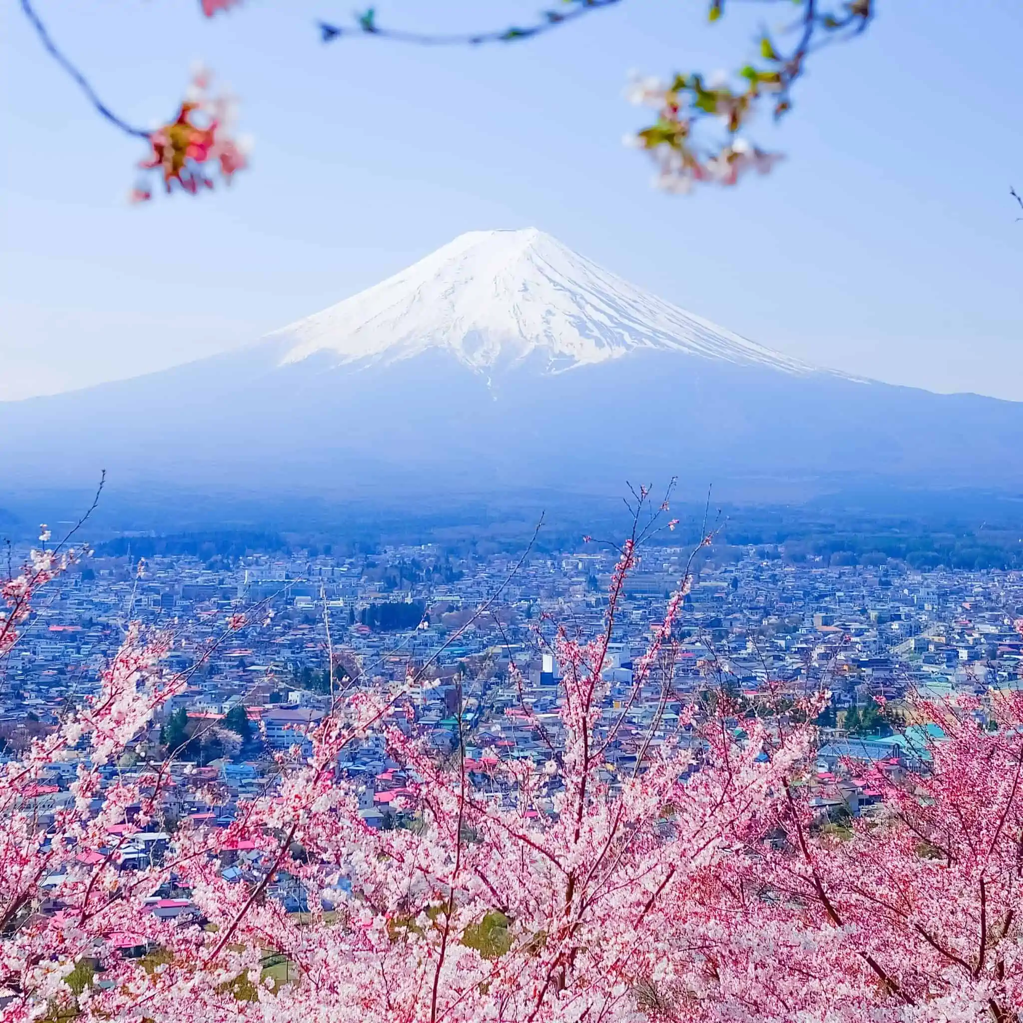 Japon Séjour