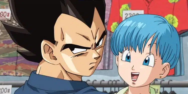 Végéta Et Bulma Dbz