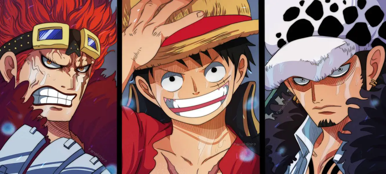 Low Luffy Kid