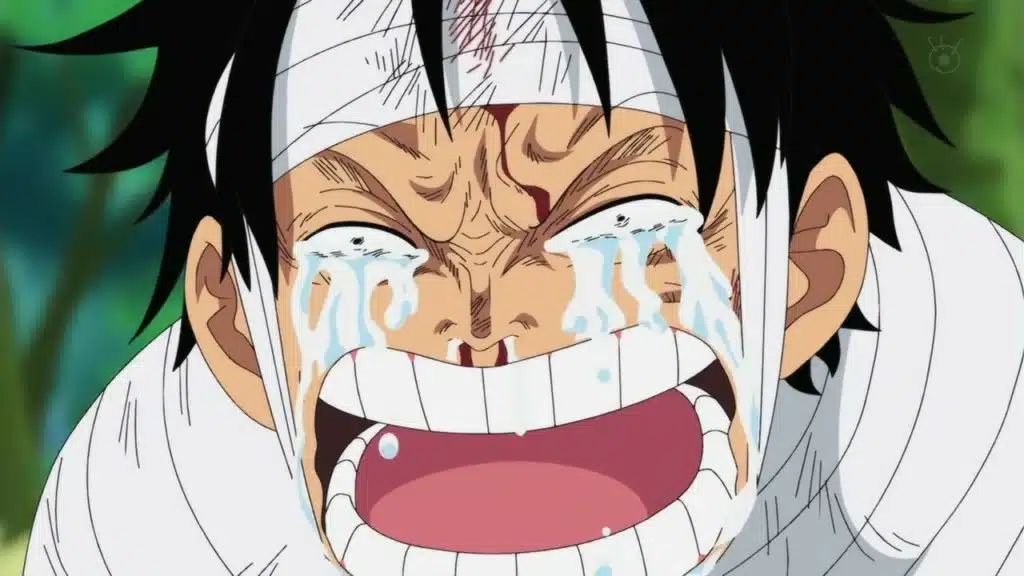 Luffy Pleure One Piece