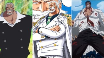 One Piece L Apogée Des Personnages