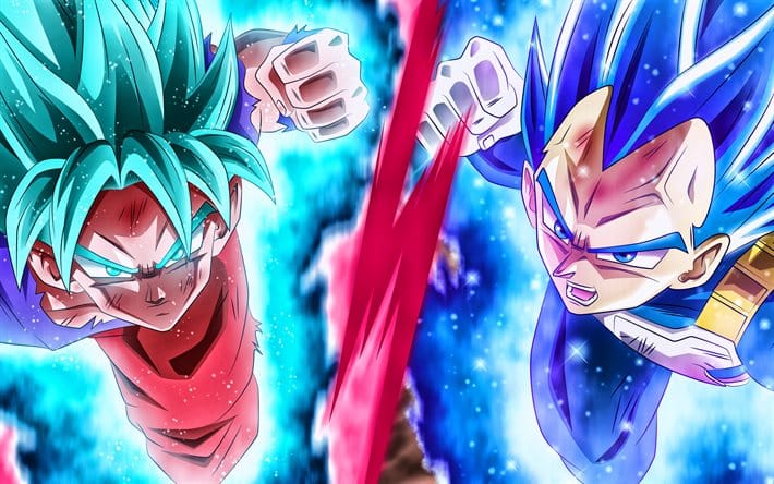 Dragon ball super goku et végéta