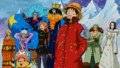Equipage chapeau de paille One Piece