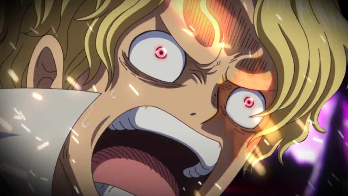 Sabo en colère one piece