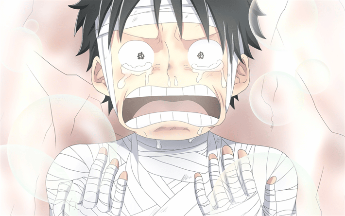 Luffy pleure