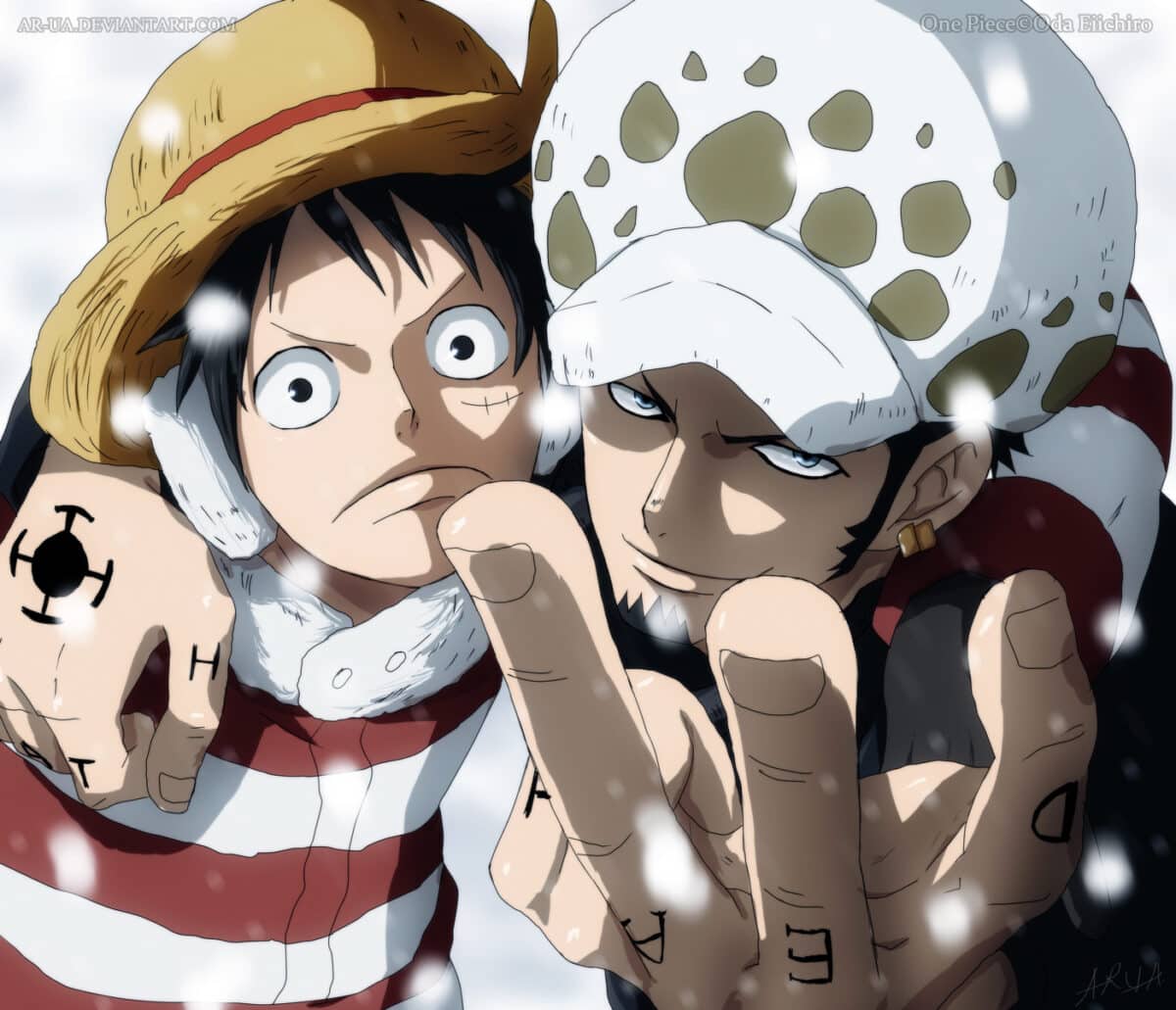 Law et luffy