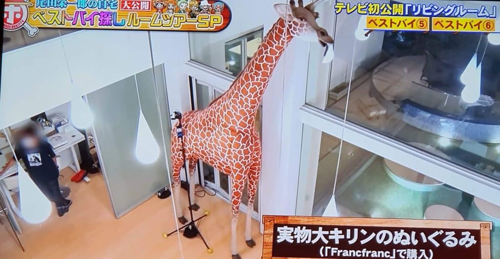 girafe oda