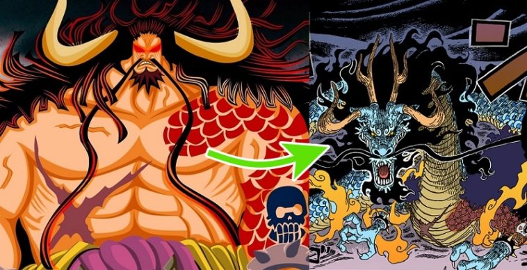 kaido