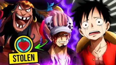 law barbe noire et luffy