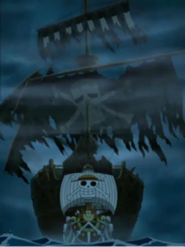 navires rumbar et chapeaux de paille