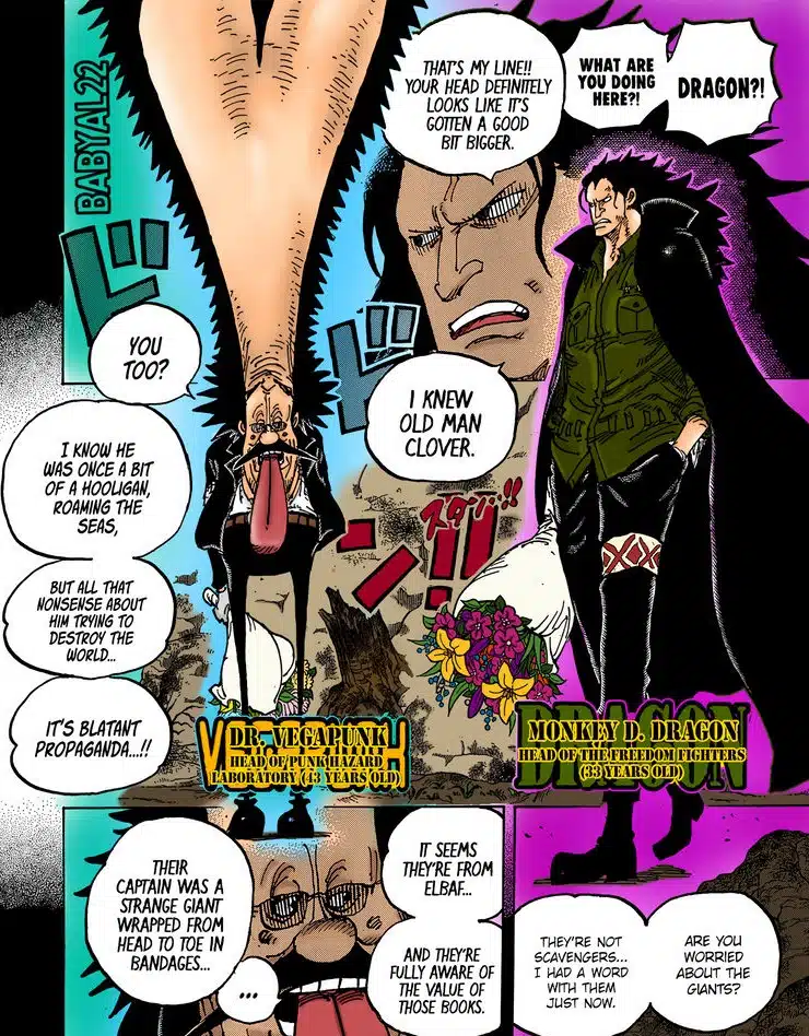 one-piece-pirates-de-lespace one-piece-pirates-de-lespace
