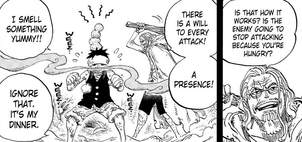 rayleigh entraine luffy