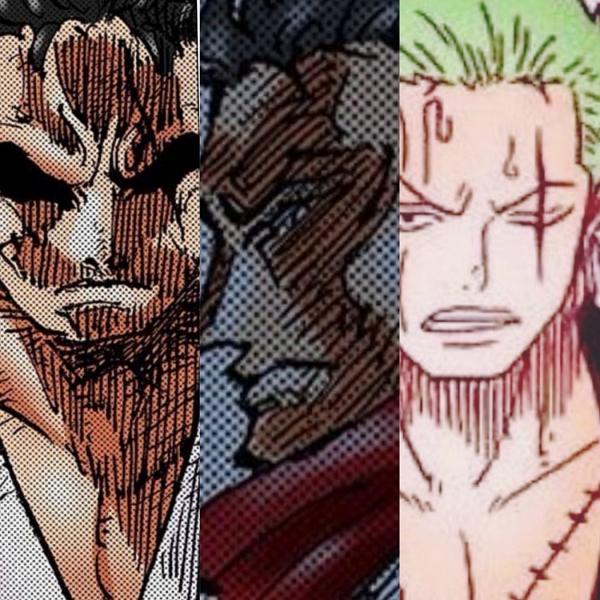 ryuma et zoro