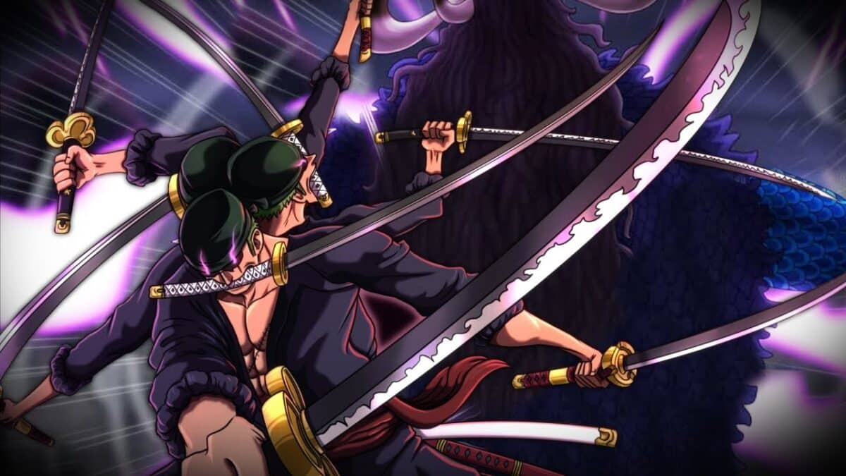 zoro et kaido