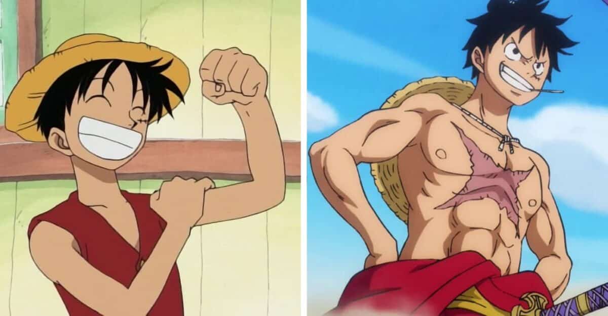 luffy avant et après