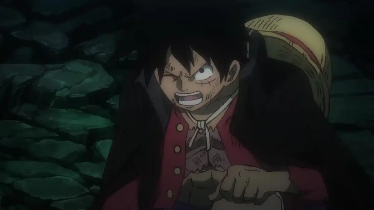 luffy blessé