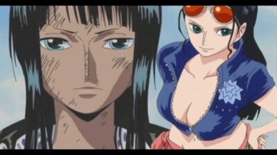 peau de nico robin