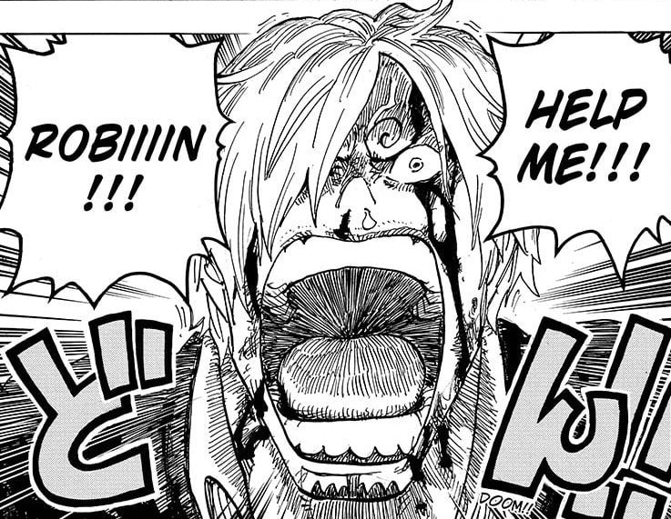 robin aide moi sanji