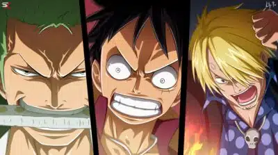 zoro sanji et luffy