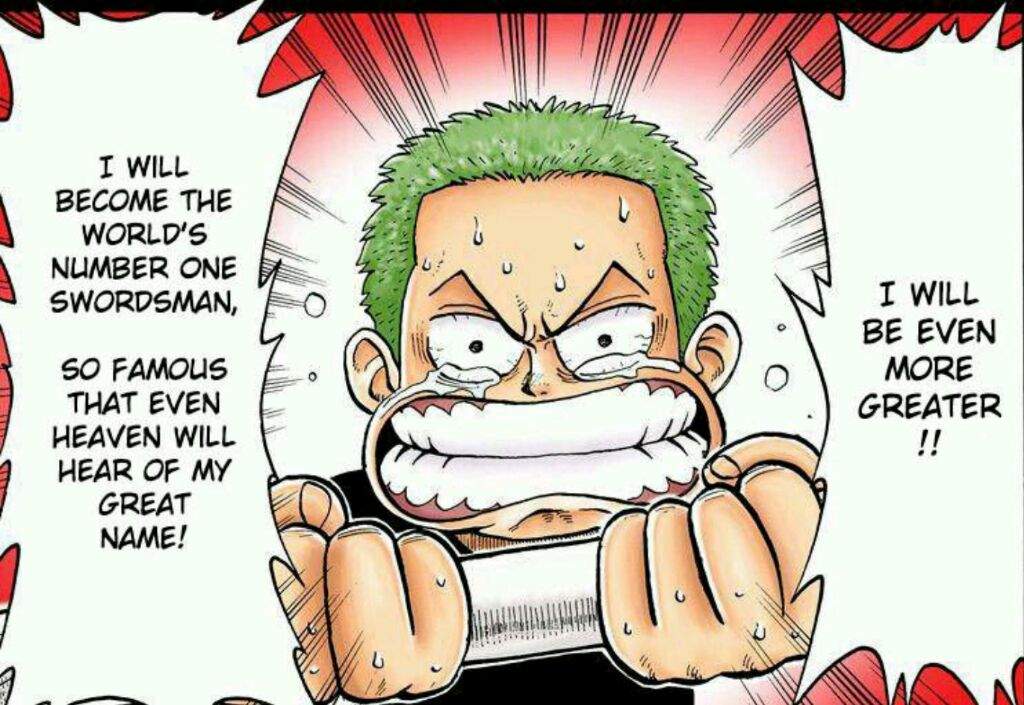 zoro jeune