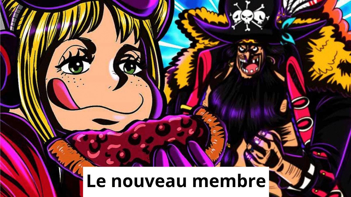 Le nouveau membre barbe noire one piece