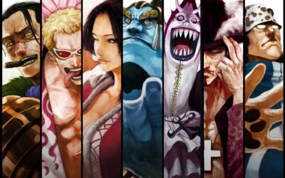 Shichibukai-One-Piece