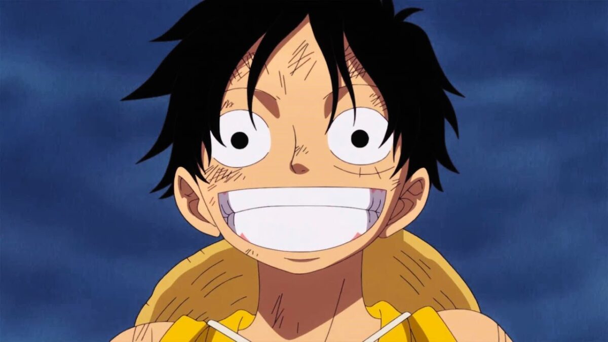 luffy chapeau de paille one piece