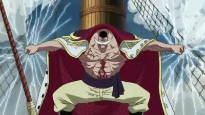 one piece barbe blanche