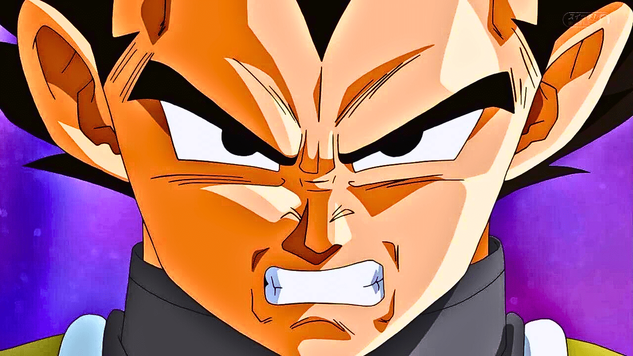 vegeta haine dragon ball