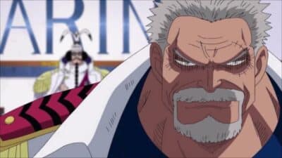 garp one piece v