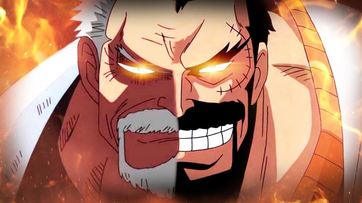 garp one piece visage