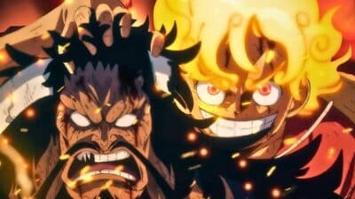 kaido luffy combat 1073 one piece