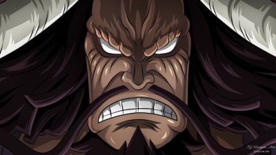 kaido one piece