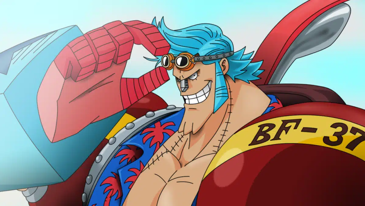 franky one piece sourire