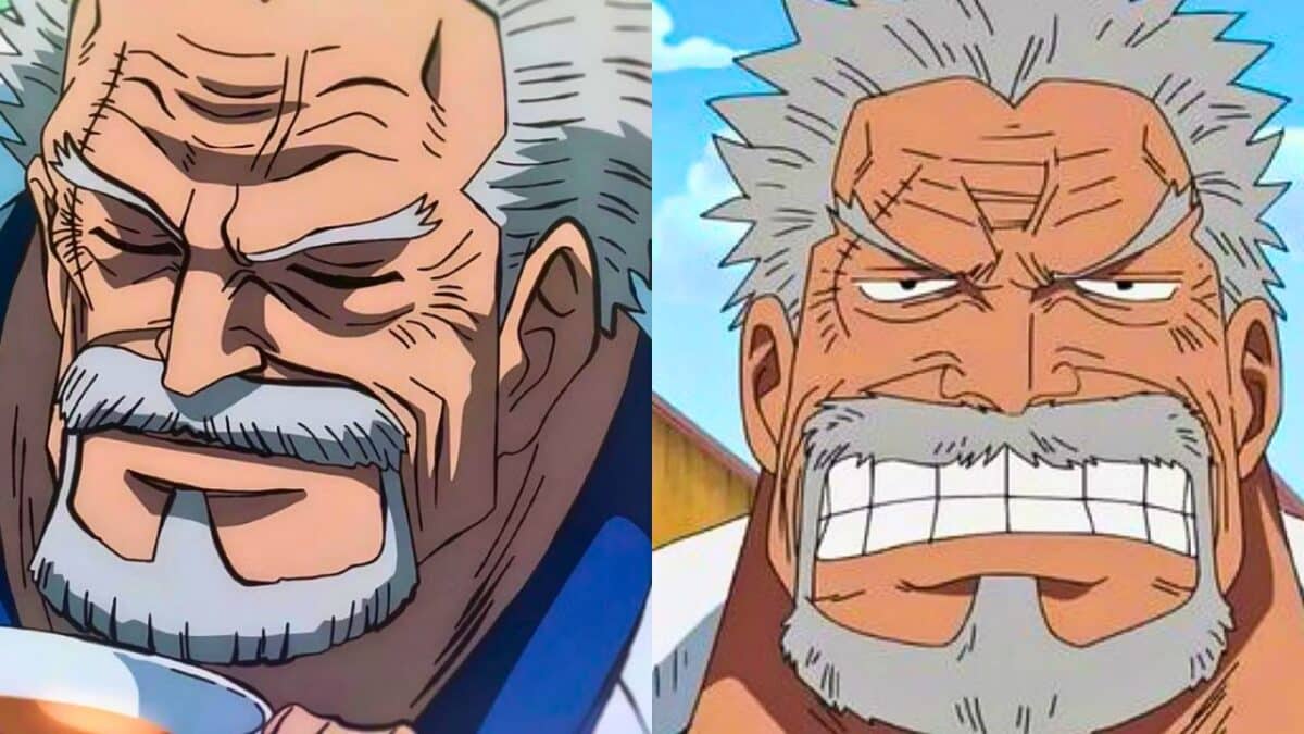 garp one piece collage