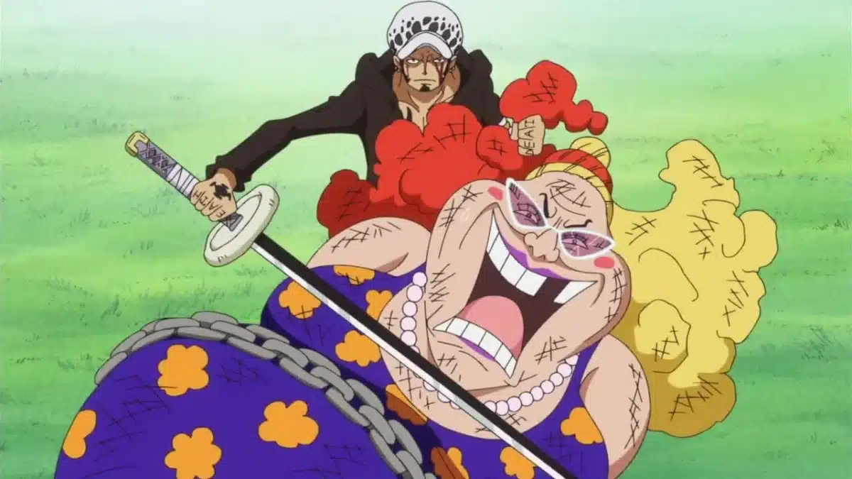 jora one piece