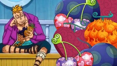 fruits du demon one piece