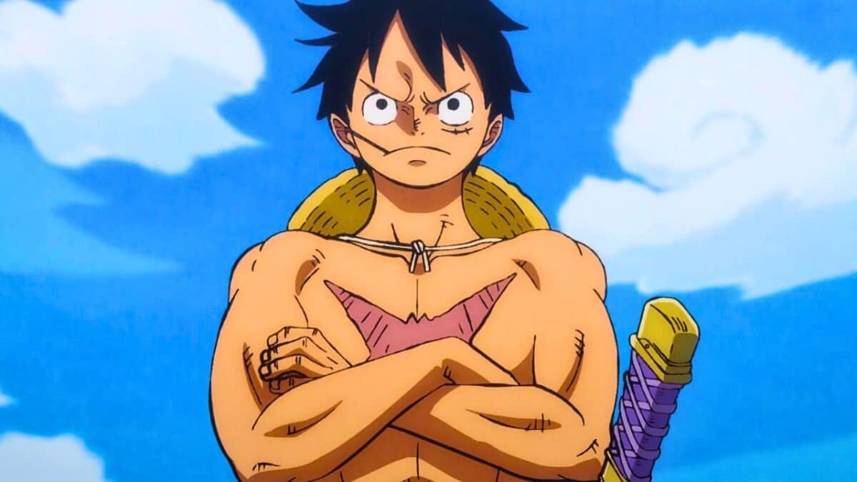 luffy croise les bras one piece