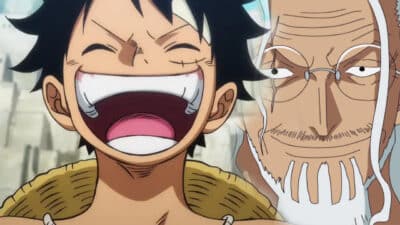 luffy rayleigh